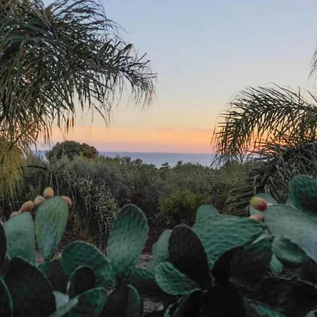 Casa Delle Palme Дом отдыха Устика