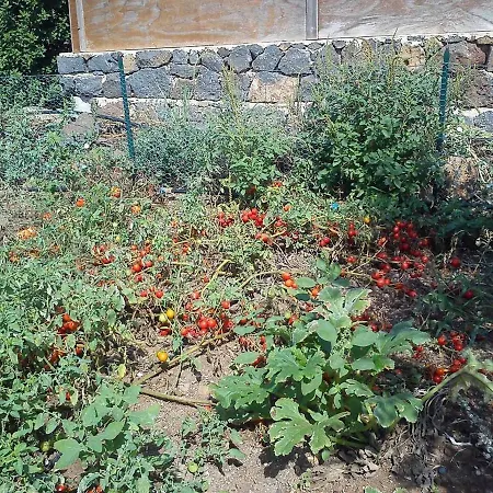 Casa Delle Palme Дом отдыха *